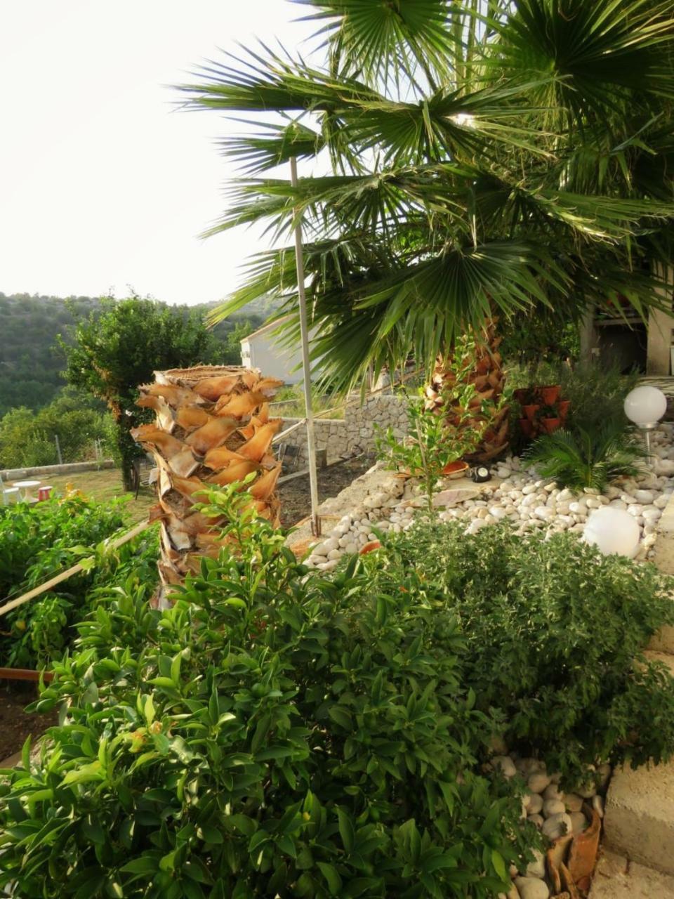 Vila Mozara Slano Esterno foto